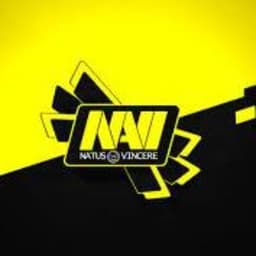 InFeiS
