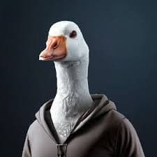 WildGoose537