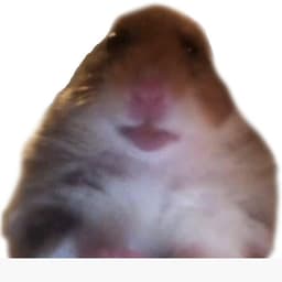 Oklozozsirr