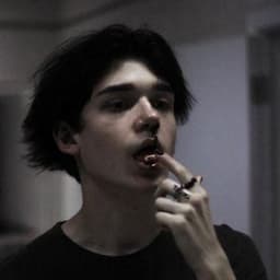 twinAIMLORD
