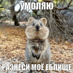 freeliqued