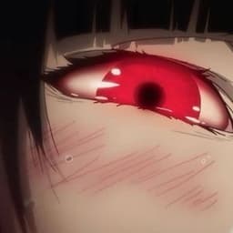 Dimidroi
