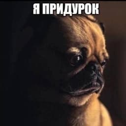 kakoyto_bruh