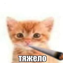 M3ndoza