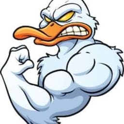 Mad_Duck_