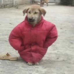 Grimmlfg