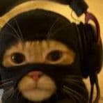NoNicksAlowd