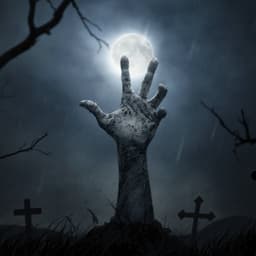 Risen_Jopkin