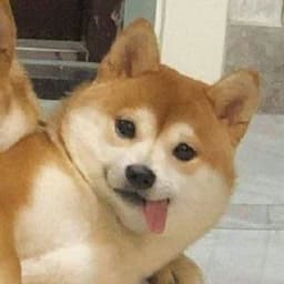 MeekHao