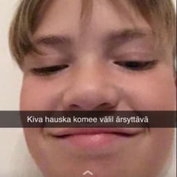 Vildek