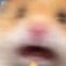 fitmon