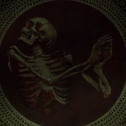 _Sulcus_