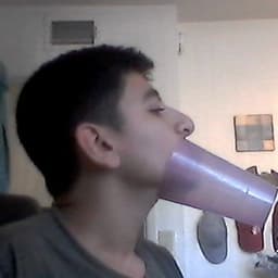 botdull4h