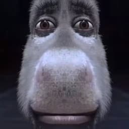 PanPiorun