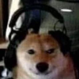 djestko