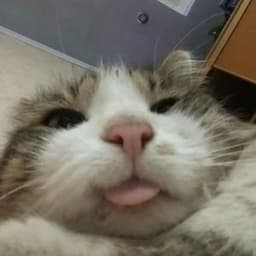 mnshn_