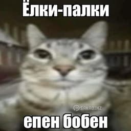 Ericooon_