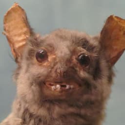 xKALININx