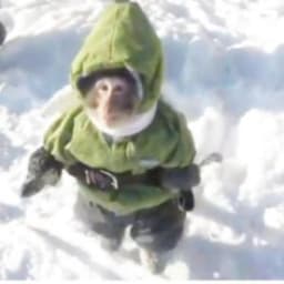 funeemonkeee