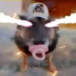 saymynamew