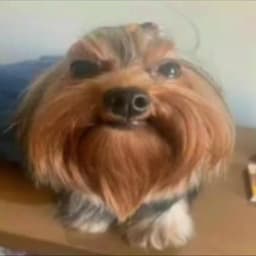 soloweychik