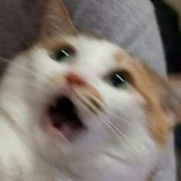 riyuuo