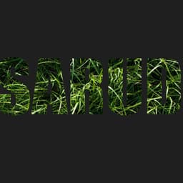 Sarudzo