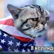 Vnyk_General