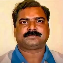 nibabi