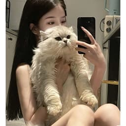 Pejaej
