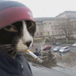 gucciface68