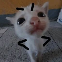 nastxmu