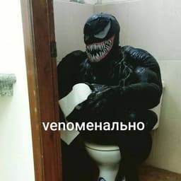 SolosSkiner