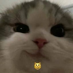 antonloveyou
