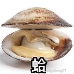 Laoshandong