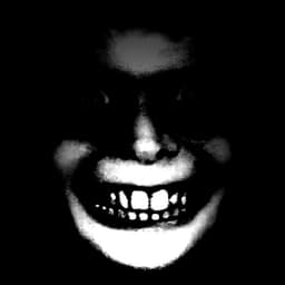 Stranger1336