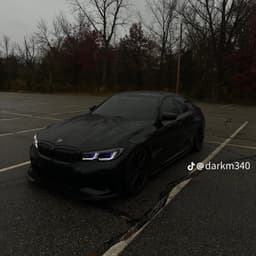 ledbossii
