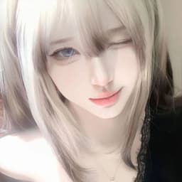 SiL_V1
