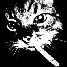 Codhic-