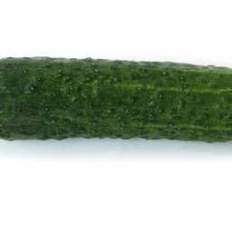 spermsource