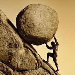 stonogaking