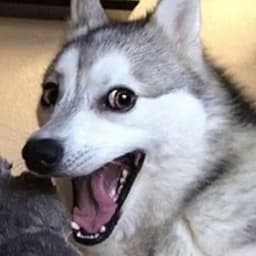 BaquriYt