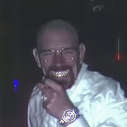 palmuhaa