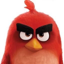 angry_01