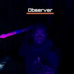 0bserver