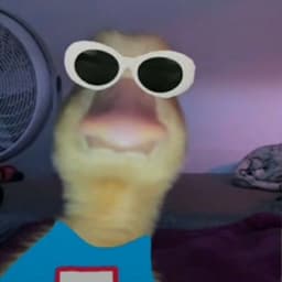 HHMZZZ