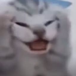 RoflanHmmmmm
