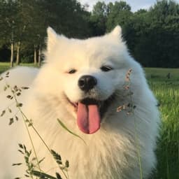FuRyy23
