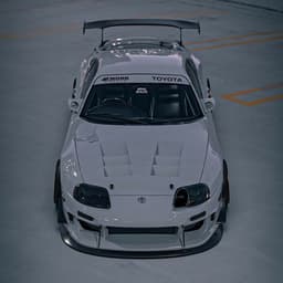 m1schanya