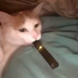 JRCR4Z3